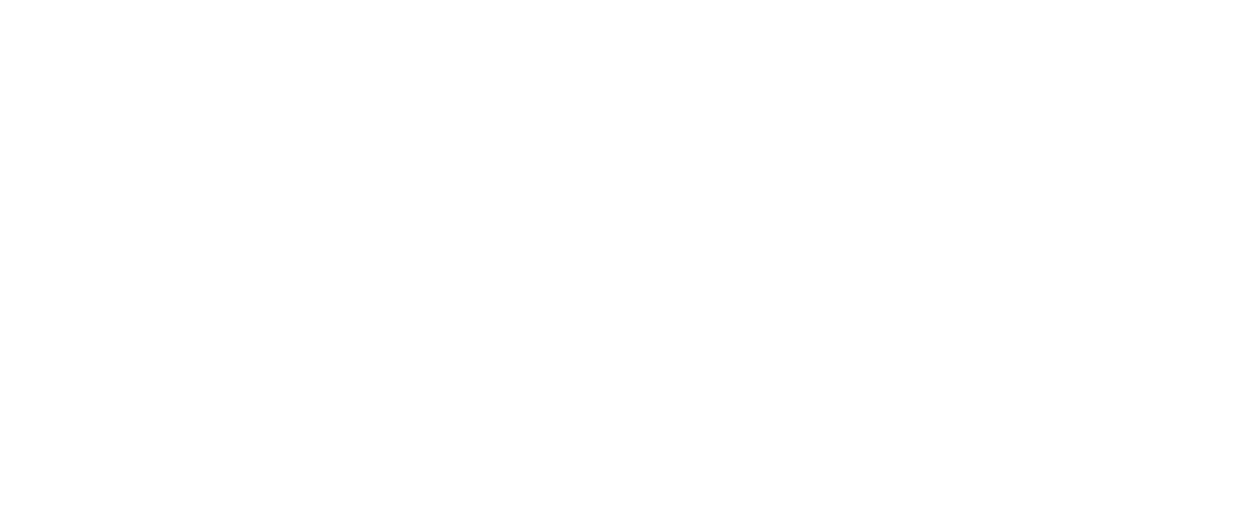 BlueCamp Growth Agency
